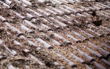 Membland roof cleaning companies